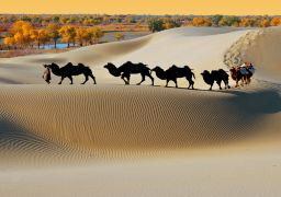 travel picture