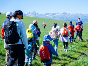 【新疆研学地接】新疆研学伊犁暑期8日亲子营 | 赛里木湖、喀拉峻、昭苏夏塔，从草原到雪山的游牧之旅